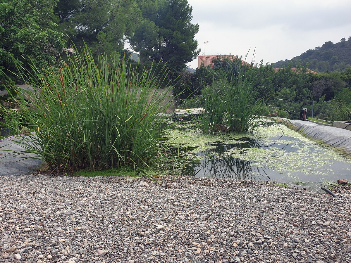 humedales artificiales